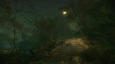 первый скриншот из The Cursed Forest