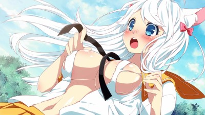 четвертый скриншот из Sakura Shrine Girls