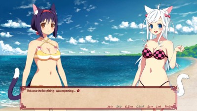третий скриншот из Sakura Shrine Girls