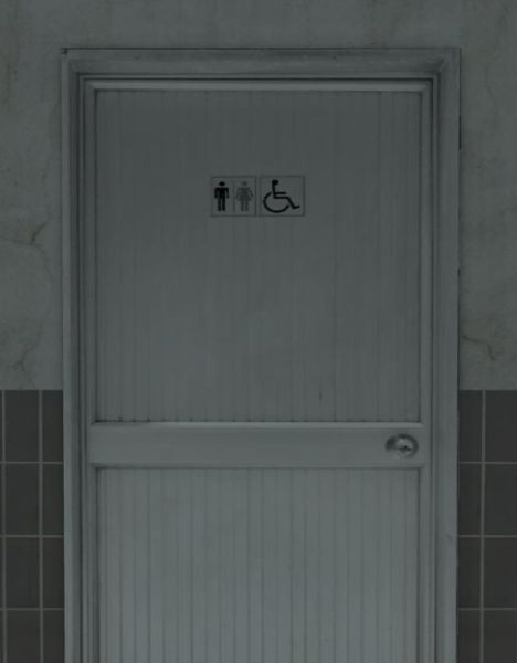 Totally Accurate Toilet Simulator