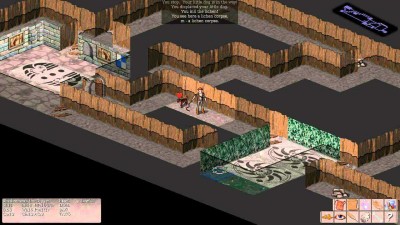 второй скриншот из Vulture for Nethack