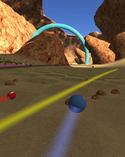 Sanicball