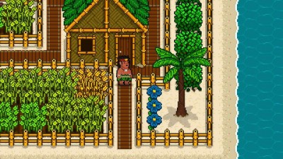 второй скриншот из The Islander
