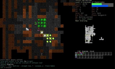 первый скриншот из Dungeon Crawl Stone Soup