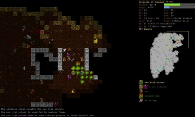 второй скриншот из Dungeon Crawl Stone Soup