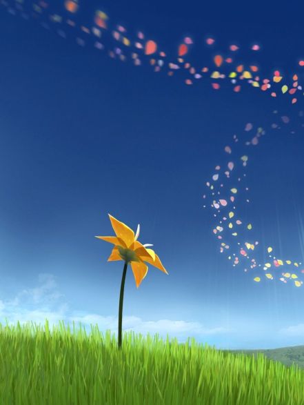 Flower Flower