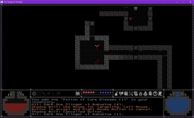 третий скриншот из The Temple of Torment
