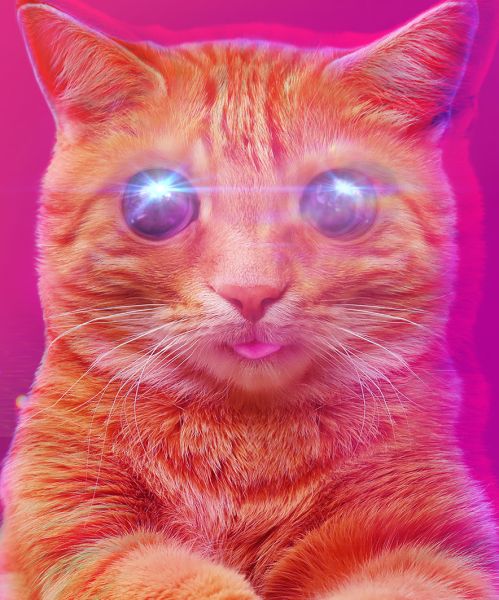 PUSS!