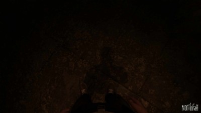второй скриншот из Northfall