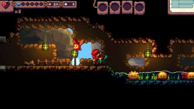 третий скриншот из Eagle Island