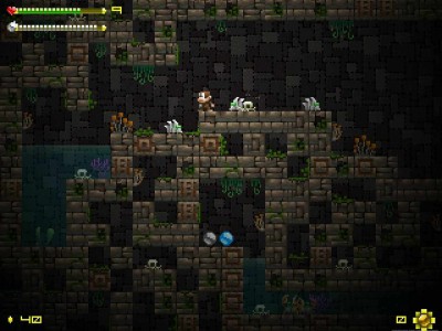 первый скриншот из Adventure Apes and the Mayan Mystery