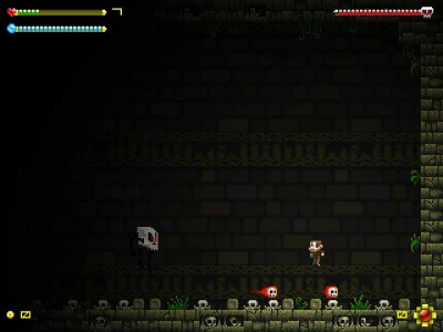 четвертый скриншот из Adventure Apes and the Mayan Mystery