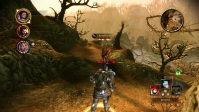 третий скриншот из Dragon Age: Origins