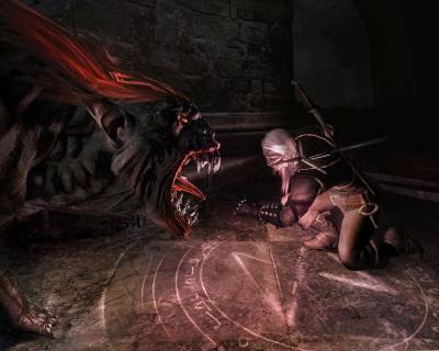 второй скриншот из Witcher