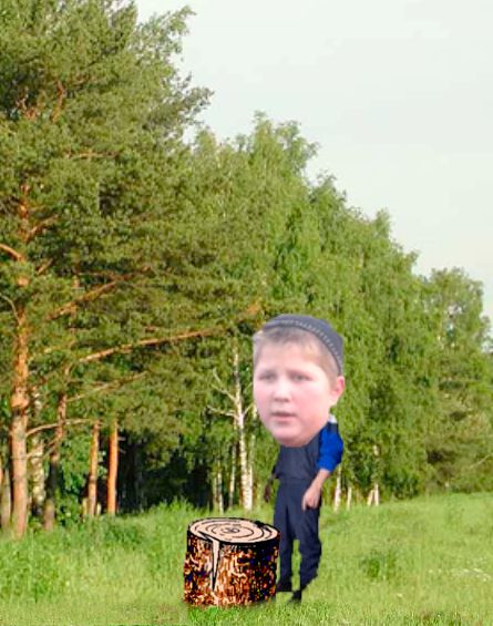 Kosari Kosari