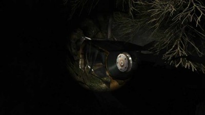 второй скриншот из The Night
