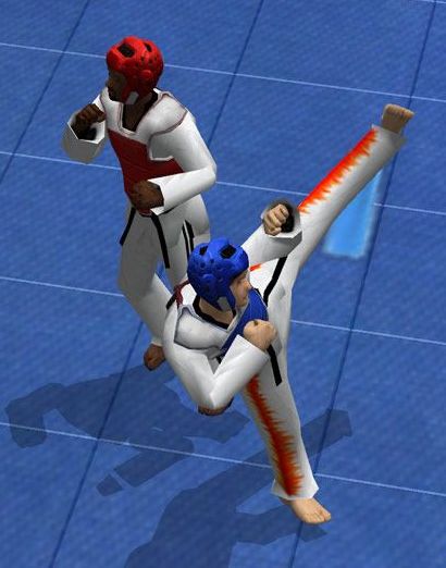 Tae Kwon Do World Champion
