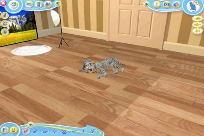 второй скриншот из Petz Catz 2