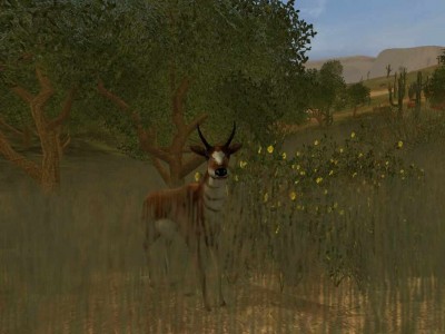 первый скриншот из Cabela's Dangerous Hunts