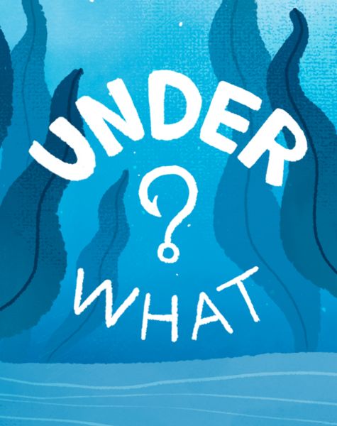 Обложка Under what?