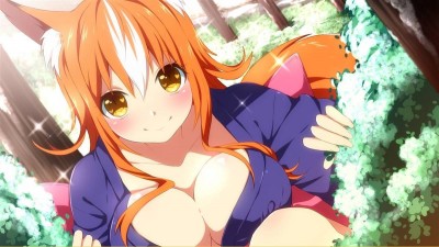 второй скриншот из Sakura Santa