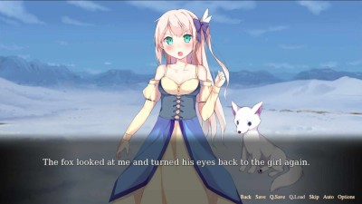 третий скриншот из Vision of Aurora Borealis