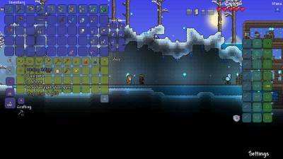 первый скриншот из TERRARIA