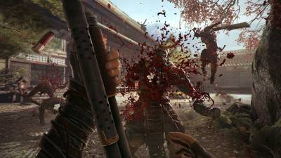 третий скриншот из Shadow Warrior 2
