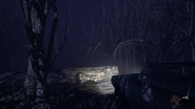 второй скриншот из Centralia