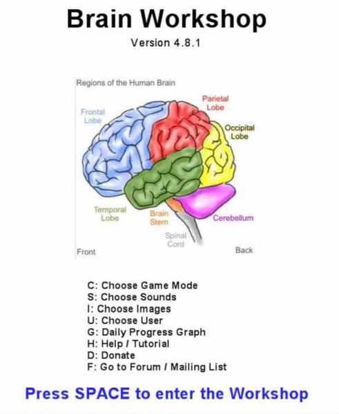 Brain Workshop