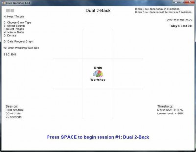 второй скриншот из Brain Workshop
