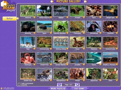 второй скриншот из Super Jigsaw Puzzle