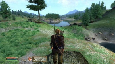 четвертый скриншот из TES IV: Oblivion - плагины, софт, патчи, прохождения