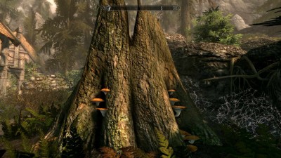 второй скриншот из Skyrim: Cheap but Good (SE)
