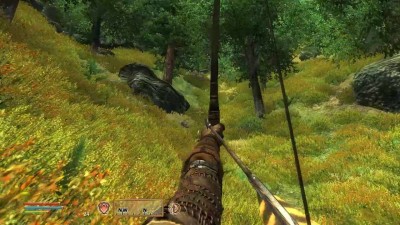 второй скриншот из TES 4: Oblivion - Enchanted Graphics