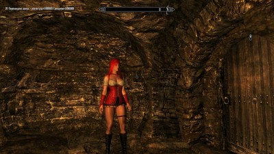 второй скриншот из Skyrim SexMods ZiGFriD's Edition