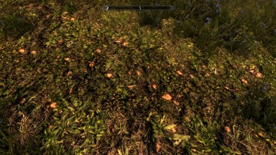 третий скриншот из Skyrim: Cheap but Good (SE)