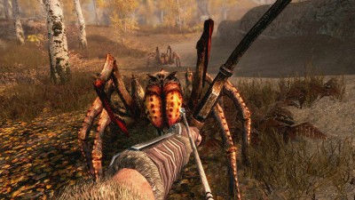первый скриншот из Skyrim Organized Pack