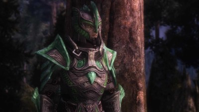 второй скриншот из Skyrim Anny Plugin Collection