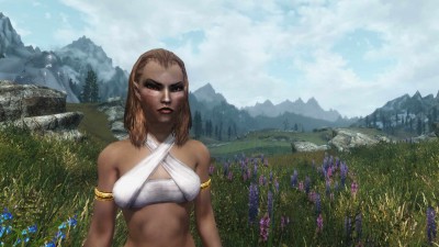 четвертый скриншот из Skyrim no SKSE mod compilation