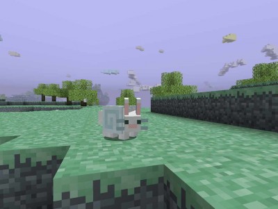 четвертый скриншот из Minecraft Aether Collaboration mod