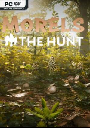Morels: The Hunt