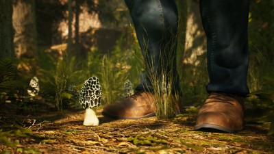 четвертый скриншот из Morels: The Hunt