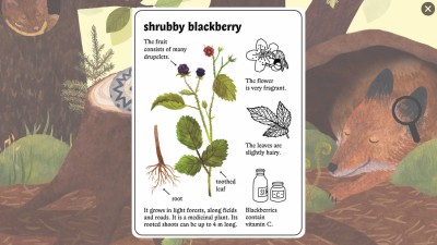 второй скриншот из Little Mouse's Encyclopedia / Мышкина Энциклопедия
