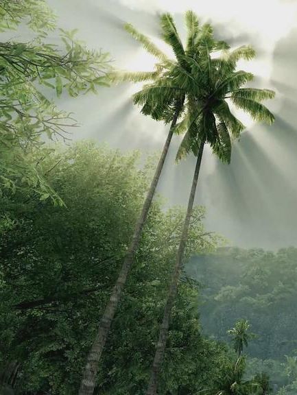 Crysis: Набор синглплеерных карт