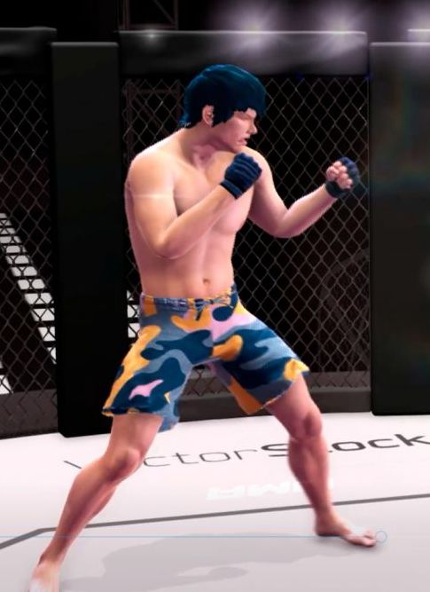 Ultimate MMA