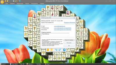 первый скриншот из MahJong Suite 2020