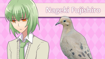 третий скриншот из Hatoful Boyfriend