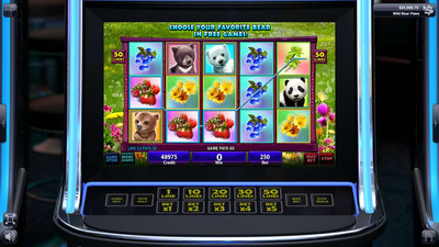 четвертый скриншот из IGT Slots Wild Bear Paws
