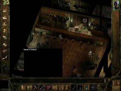 первый скриншот из Icewind Dale: Gold